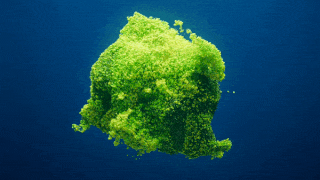 Video wallpaper demo showing MP4 and WebM playback as animated desktop background